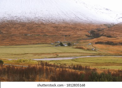 بازیکنان <a href=